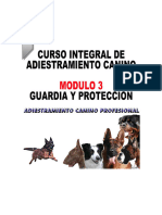 3 Modulo 3 Guardia y Proteccion