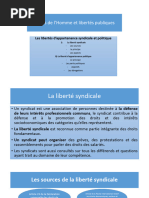 Les Libertés D'appartenance Syndicale Et Politique