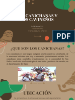 Cavineños y Canichanas