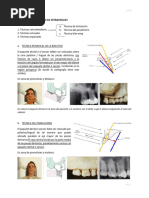 Técnicas Radiográficas Intraorales