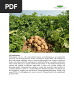 Potatoes PDF With Experts Farmtech