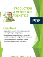 Mendelian Genetics Slides