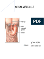 Anatomy of Abdominal Viscerals