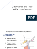 5-Pituitary, Thyroid 1