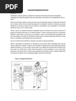 AML Conversatorio Regulación Emocional