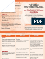 Pertuzumab Trastuzumab Paclitaxel 2017 09