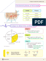 Clinical Owl ECG Basics Preview