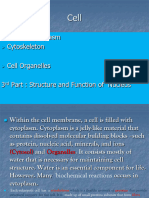 Lecture 2 Cytoplasmm