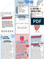 Folleto Informativo Sobre El Sistema Circulatorio