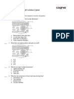 g10 Worksheet 3 Plants