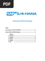 FICO - Activate Methodology