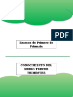 Examen de Conocimiento Del Medio de Primero de Primaria 3