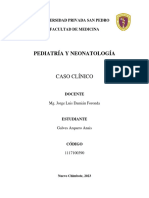 Caso 2 de Guia 7 - Galves Arquero Anais