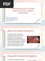 Exposiciòn-Enfermedades Del Sistema Hematopoyético - Anemia Ferropénica