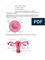Segundo Parcial Embriologia