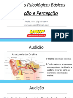 Aula 4 - Sensação - Audição - Olfato - Paladar - Tato