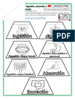 Páginas de s12 y 13 Cuadernillo de Actividades Anexos Profa Kempis