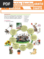 Los Seres Vivos para Cuarto Grado de Secundaria