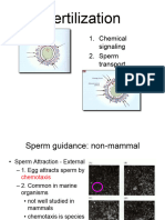 Fertilization 2010 H Hamlin
