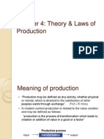 Chapter 4 - Laws of Production