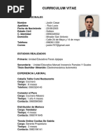 Curriculum Vitae