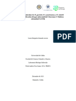 Caracterización Molecular de O. Guerinii, O. Cyanolaemus y O. Stubelii Mediante La Amplificación Del Gen Mitocondrial Citocromo C Oxidasa Subunidad I (COI)