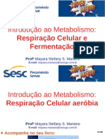 4 Metabolismo