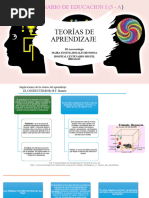 Teorias de Aprendizaje