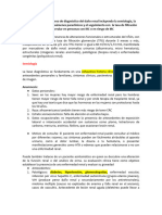 RAE 5 Explicar El Proceso de Diagnóstico Del Daño Renal Incluyendo La Semiología