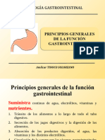 Funcion Gastrointestinal