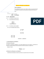 Division Algebarica