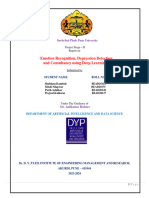 Phase 2 Final Report Depression Detection