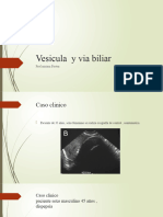 Clase 4 Ves y Via Biliar 2023