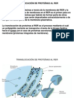 Clase 8-Translocación de Proteínas Al Rer