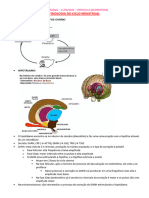 08-03-21 Fisiologia Do Ciclo Menstrual Camila