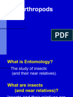 Zoology PWPT Arthropods