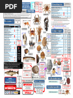 Tableau Tailles 2022