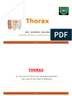 Thorax