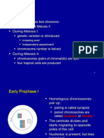 Meiosis Student