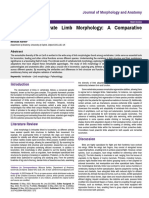 Exploring Vertebrate Limb Morphology A Comparative Analysis