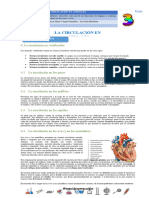 Gua N 3 Circulacin en Vertebrados