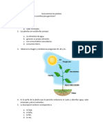 Guía Ciencias Las Plantas