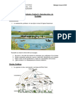 Actividades Unidad 1. Introducción A La Ecología