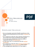 Cell Organelles