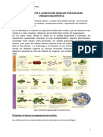 Introducción A La Biología Celular Y Molecular Unidad Diagnóstica