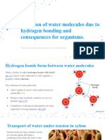 IB Biology (2025) - A1.1.3