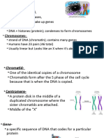 Mitosis Cell Cycle Student Notes 2023