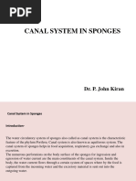 CANAL SYSTEM IN SPONGES - pdf289