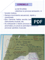 Fisiologia de Cerebelo y Ganglios Basales