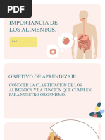 NUTRIENTES Y SUS FUNCIONES 5º Básico